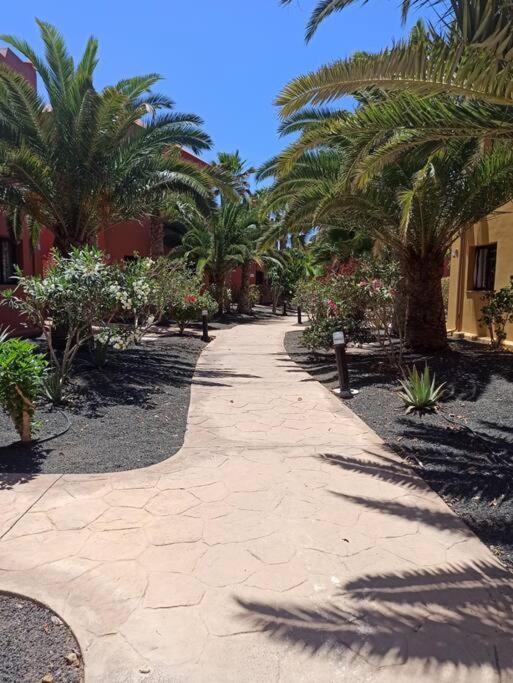 Apartment Cumbre Vieja Fuerteventura 코라레호 외부 사진