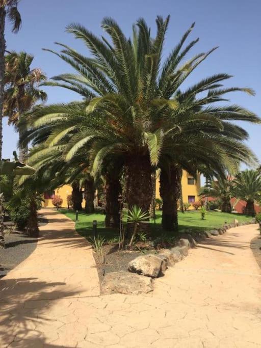 Apartment Cumbre Vieja Fuerteventura 코라레호 외부 사진