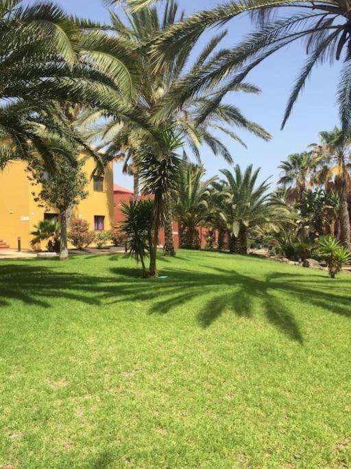 Apartment Cumbre Vieja Fuerteventura 코라레호 외부 사진
