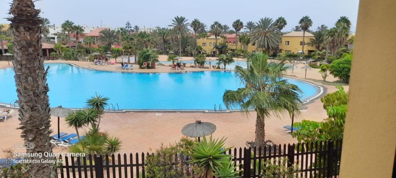 Apartment Cumbre Vieja Fuerteventura 코라레호 외부 사진